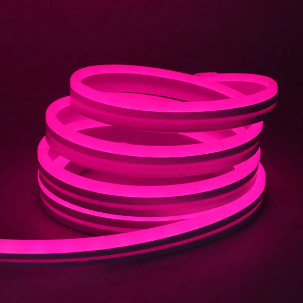 EU Plug DC24V 3535 RGB Neon LED Strip 5/10/15/20/30M Bluetooth Music Sync Waterproof Neon Rope Light for Indoor Outdoor Decor