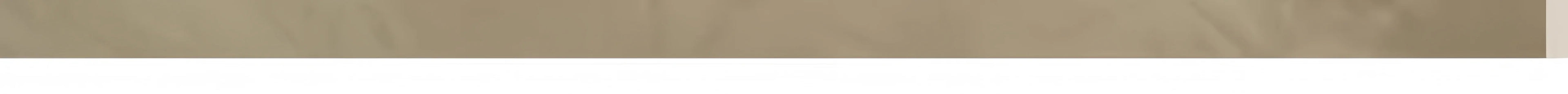 Cat Litter Mat Waterproof Double Layer Pet Litter Box Mat Pet Toilet Cat Mat Nonslip Sand Cat Washable Mat Pet Clean