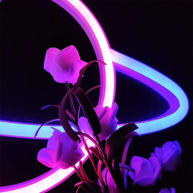 Pink Blue Planet neon sign Light USB/ battery dual purpose LED Lamp, for Birthday Wedding Party Wall Camping Summer Home decor