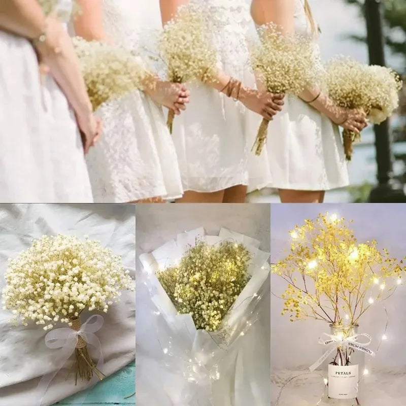 50pcs Dried Flowers Breathing Bouquet Starry Sky Aromatherapy Decoration Party Decoration Vase D Small Packaging Decoration Gift