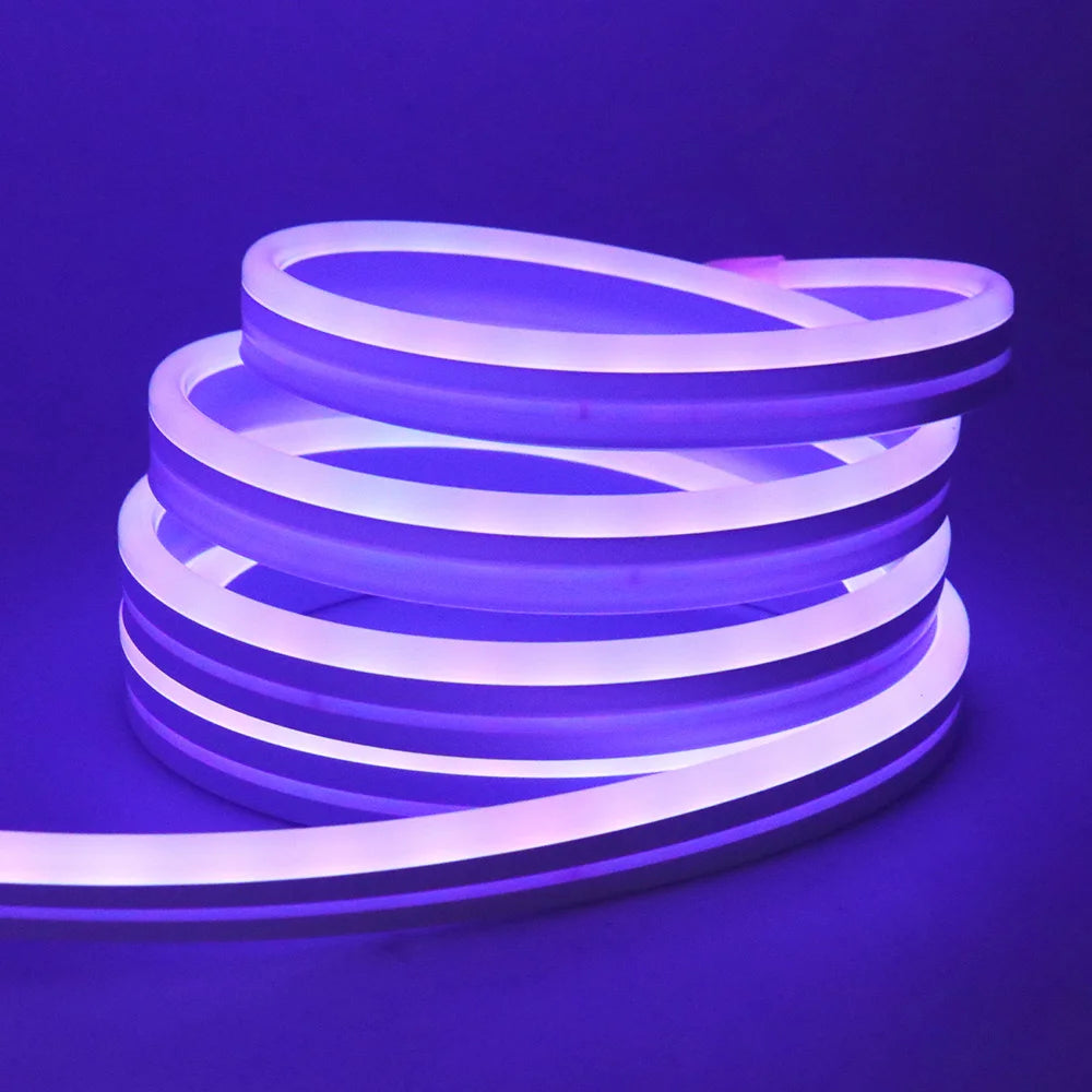 EU Plug DC24V 3535 RGB Neon LED Strip 5/10/15/20/30M Bluetooth Music Sync Waterproof Neon Rope Light for Indoor Outdoor Decor