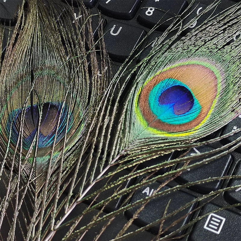 18pcs Big Eye Peacock Feathers Decoration For Vase Salon Bus House Hats Crafts Carnival Trim Long Plumas Adult Natural 25-30cm