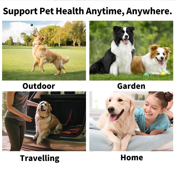 100 Piece Pet Eye Cleaning Wipes Tear Mark Remover for Cats Hygienic Grooming Wet Tissues for Home Pet Care