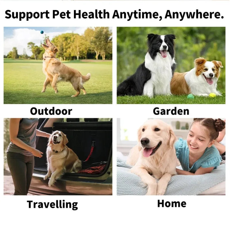 100 Piece Pet Eye Cleaning Wipes Tear Mark Remover for Cats Hygienic Grooming Wet Tissues for Home Pet Care