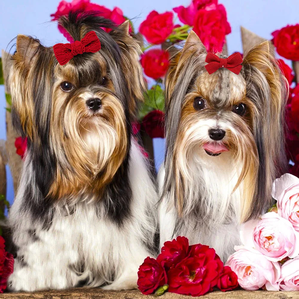 10PCS Dog Bows Cotton Red Series Pet Dogs Hair Bows for Rubber Bands Fashion Puppy Bow Grooming Accessories for Cat Dog Supplies