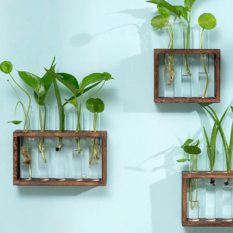 Hydroponic Plants Container with Wood Frame Transparent Glass Test Tube Vase Flower Pot Home Tabletop Bonsai Decorations Crafts