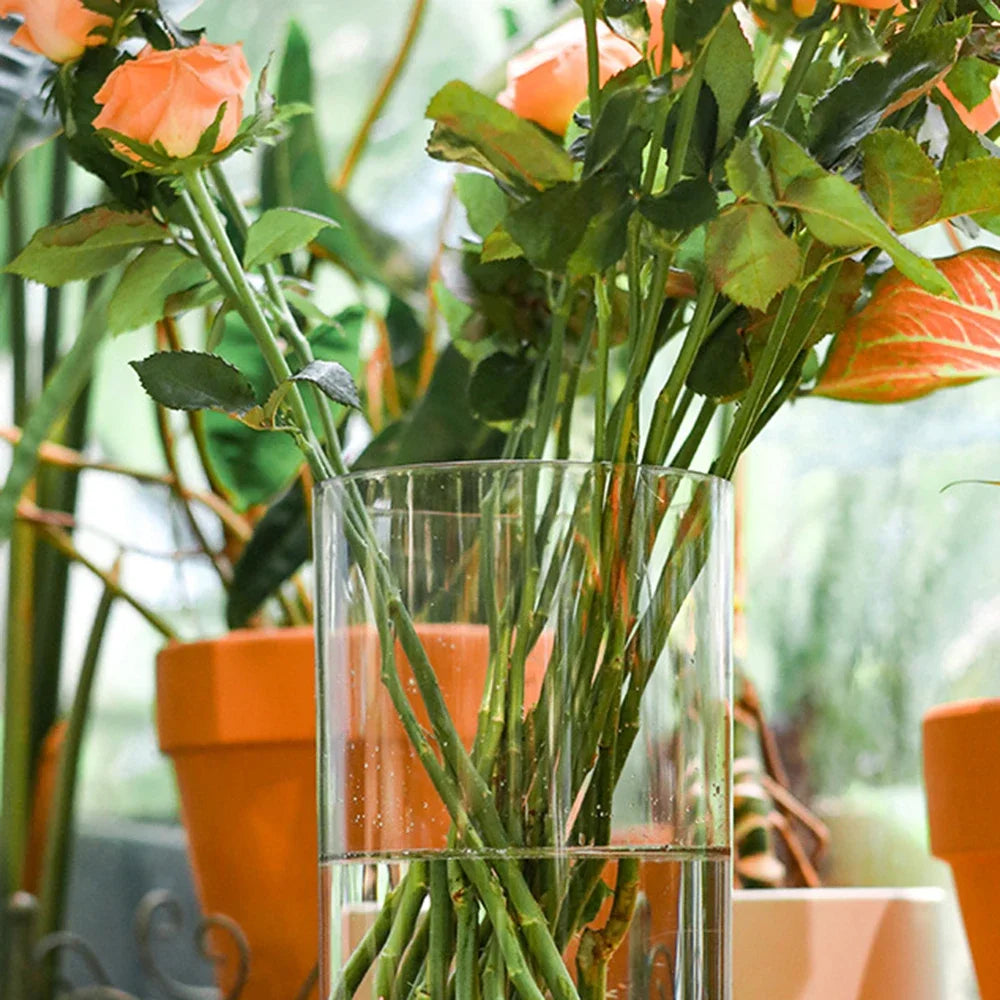 Tall Large Plastic Clear Vase - Acrylic Cylinder Flower Vase, Unbreakable Hurricane, Wedding Centerpieces Hydroponic Decor