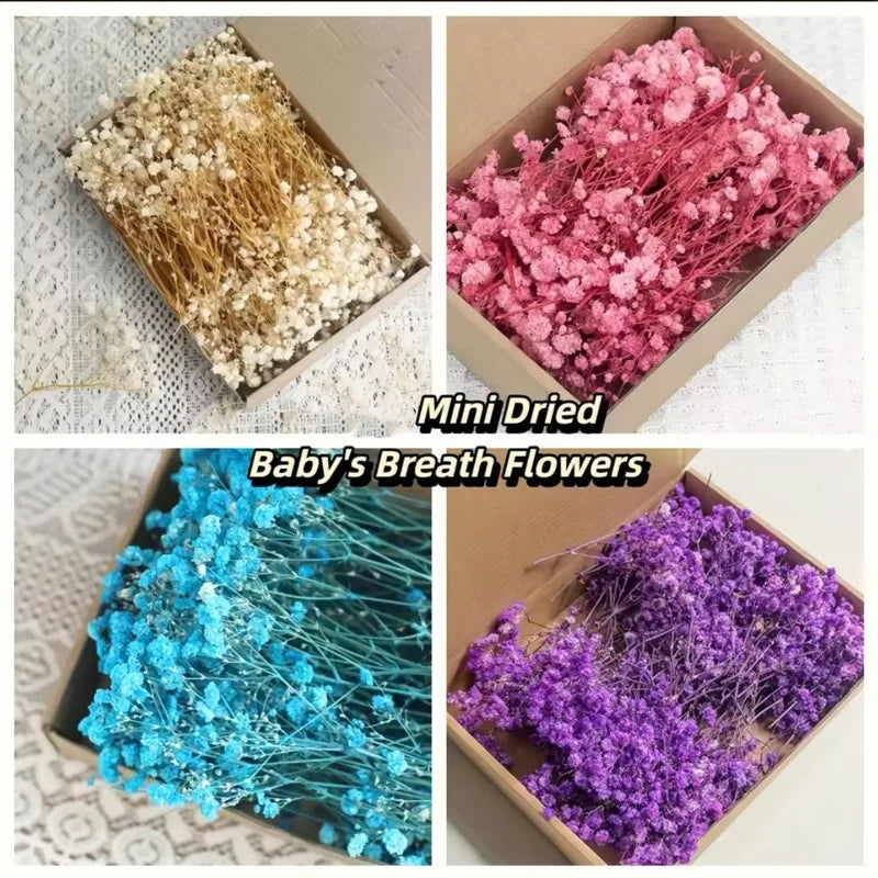 50pcs Dried Flowers Breathing Bouquet Starry Sky Aromatherapy Decoration Party Decoration Vase D Small Packaging Decoration Gift