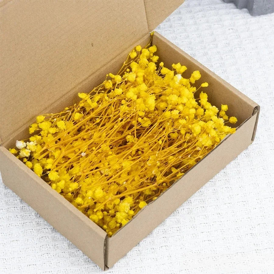 50pcs Dried Flowers Breathing Bouquet Starry Sky Aromatherapy Decoration Party Decoration Vase D Small Packaging Decoration Gift