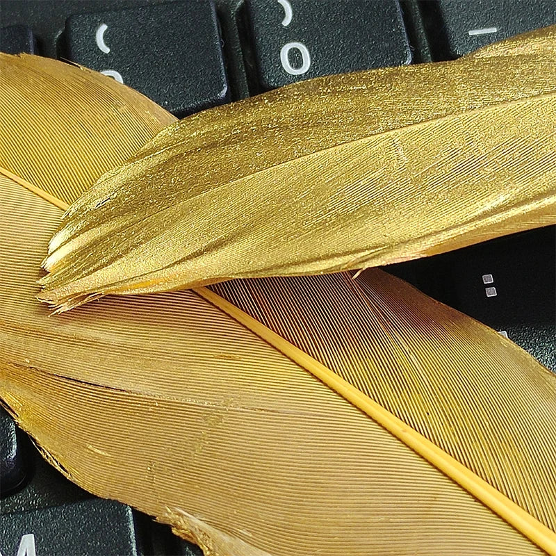 48pcs Goose Gold Feathers For Crafts Bulk Long Hats Vases Pictures House Salon Wedding Bus 14-20cm Carnival Plumas Easter Flower