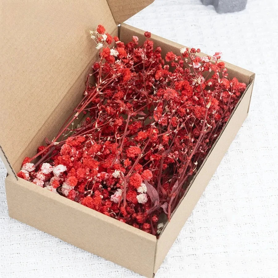 50pcs Dried Flowers Breathing Bouquet Starry Sky Aromatherapy Decoration Party Decoration Vase D Small Packaging Decoration Gift