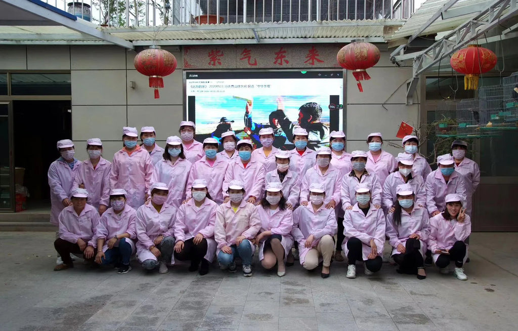 12pcs Magnetic False Eyelashes Magnetic Half Eyelashes Double Box With Mirror Applicater Reusable Beauty Eye Makeup Set