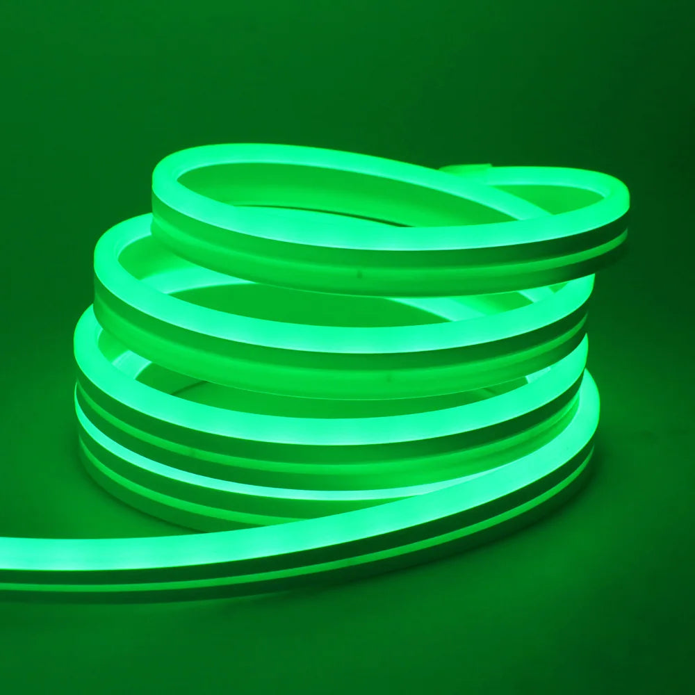 EU Plug DC24V 3535 RGB Neon LED Strip 5/10/15/20/30M Bluetooth Music Sync Waterproof Neon Rope Light for Indoor Outdoor Decor