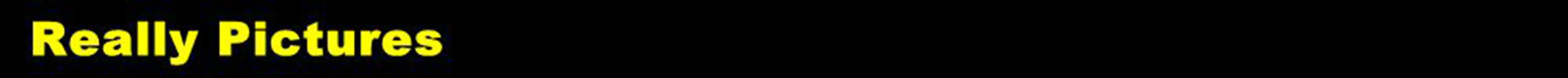 20/10/5/3/1Pcs Microblading Eyebrow Tattoo Practice Skin Eyebrow Permanent Makeup Supplies PMU Eyebrow Tattoo Training Skin