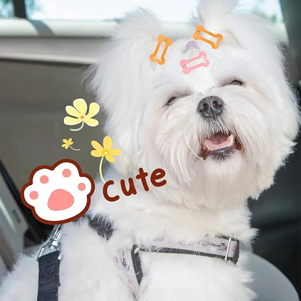 5PCS Pet Cat Dog Hair Clip Bone Shape Solid Color Pet Hairpin Cute Puppy Hair Clip Pet Grooming Accessories For Dogs