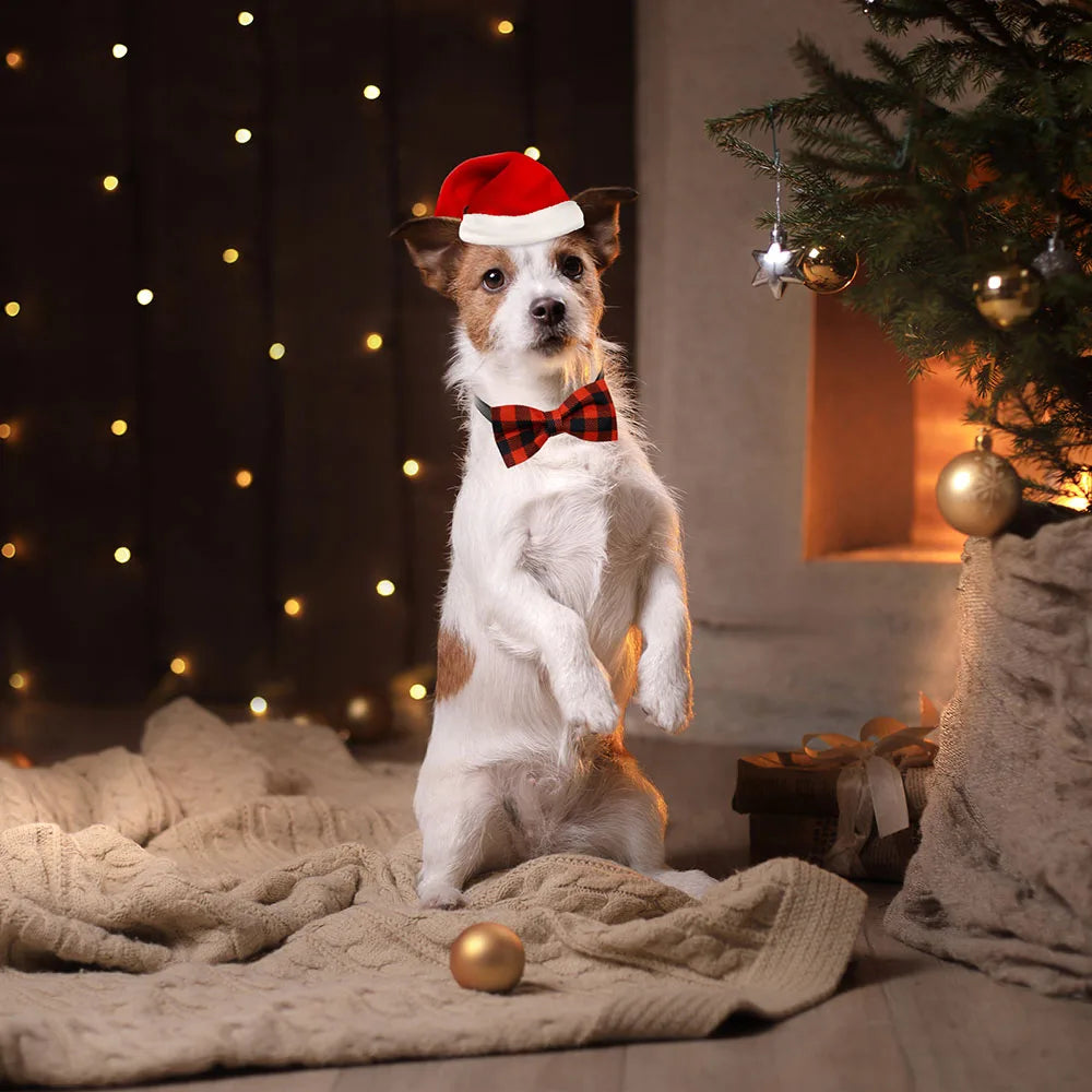5PCS Christmas Classical Plaid Dog Bow Ties With Elastic Bands Movable Pet Dog Collars Dog Supplies Pet Grooming Accessories