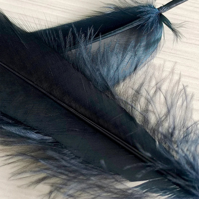 48pcs Long Big Feathers For Crafts Black With Gold Tips Bulk Hats Decoration Plumas Vases Carnival Bus Flower Goose Trim 15-20cm