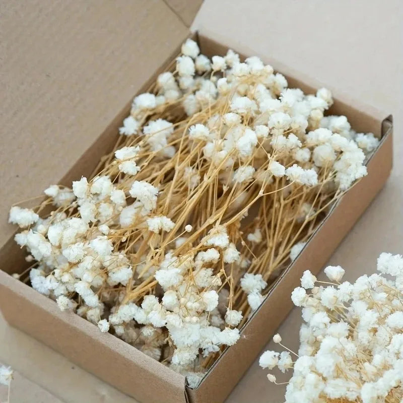 50pcs Dried Flowers Breathing Bouquet Starry Sky Aromatherapy Decoration Party Decoration Vase D Small Packaging Decoration Gift