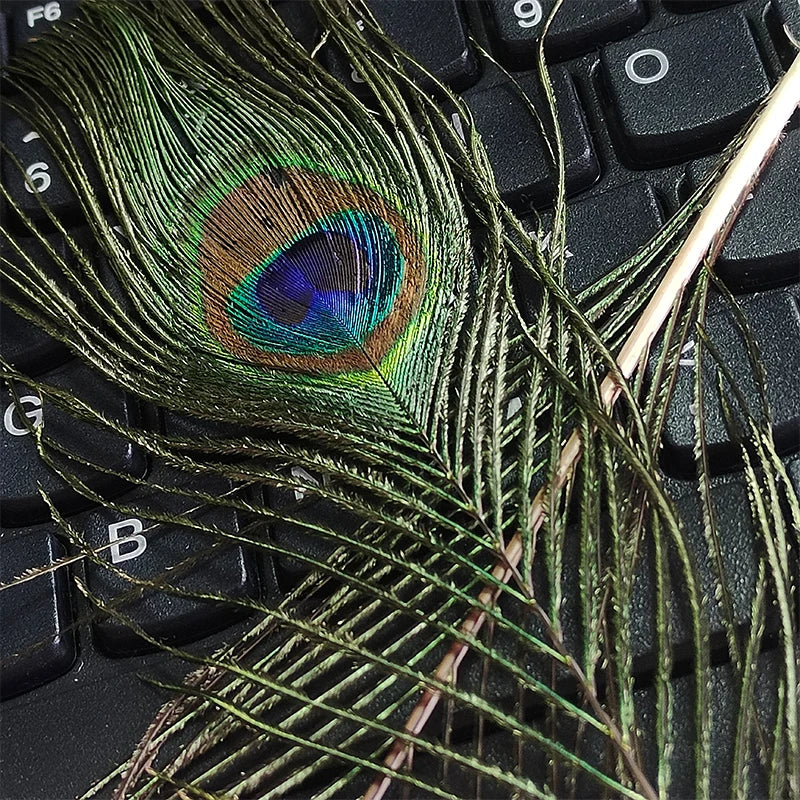 18pcs Big Eye Peacock Feathers Decoration For Vase Salon Bus House Hats Crafts Carnival Trim Long Plumas Adult Natural 25-30cm