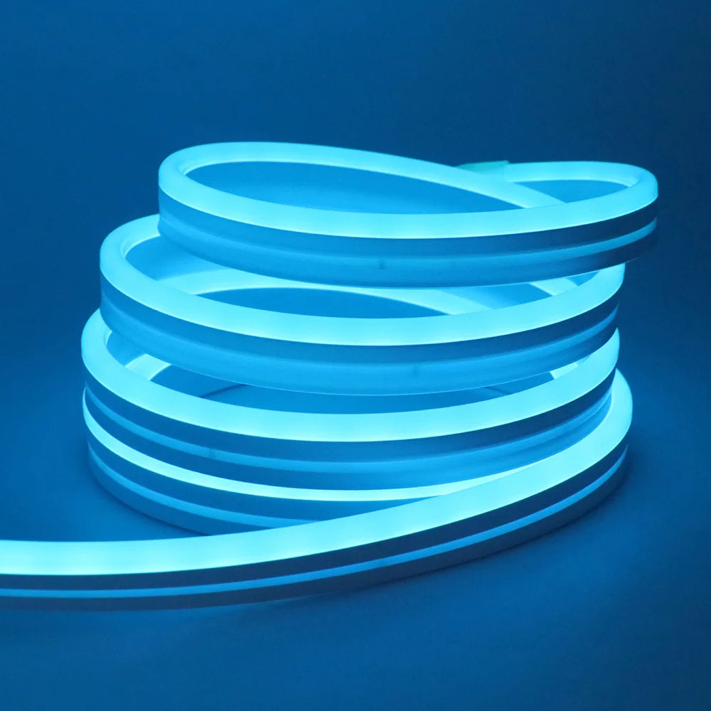 EU Plug DC24V 3535 RGB Neon LED Strip 5/10/15/20/30M Bluetooth Music Sync Waterproof Neon Rope Light for Indoor Outdoor Decor