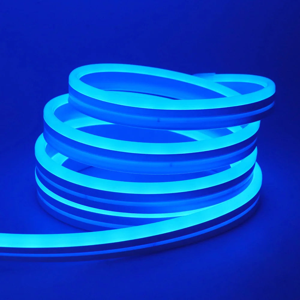 EU Plug DC24V 3535 RGB Neon LED Strip 5/10/15/20/30M Bluetooth Music Sync Waterproof Neon Rope Light for Indoor Outdoor Decor