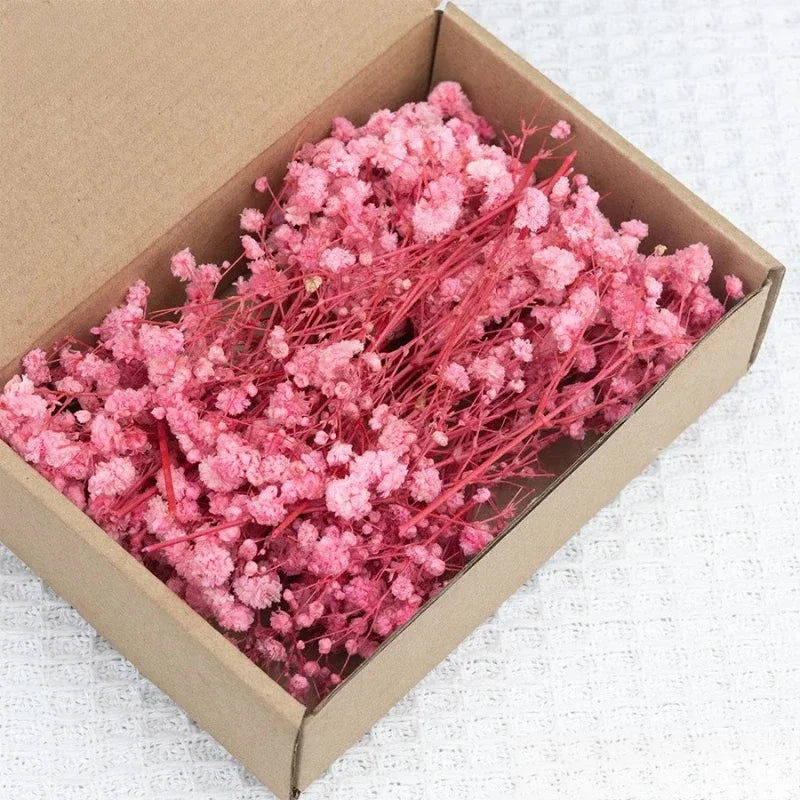 50pcs Dried Flowers Breathing Bouquet Starry Sky Aromatherapy Decoration Party Decoration Vase D Small Packaging Decoration Gift