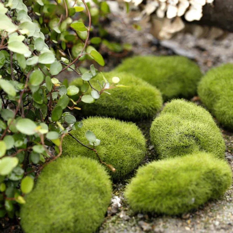4pcs Artificial Moss Stone Simulation Fairy Garden Miniatures Bonsai Terrarium Succulent Gnomes Fake Moss Home Decor Decoration