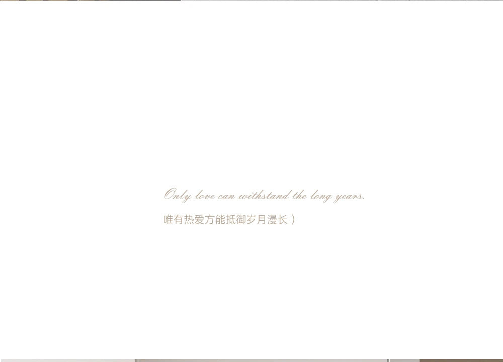 French luxury wardrobe cabinet door handle drawer cabinet Italian single hole creative design Golden European style handle