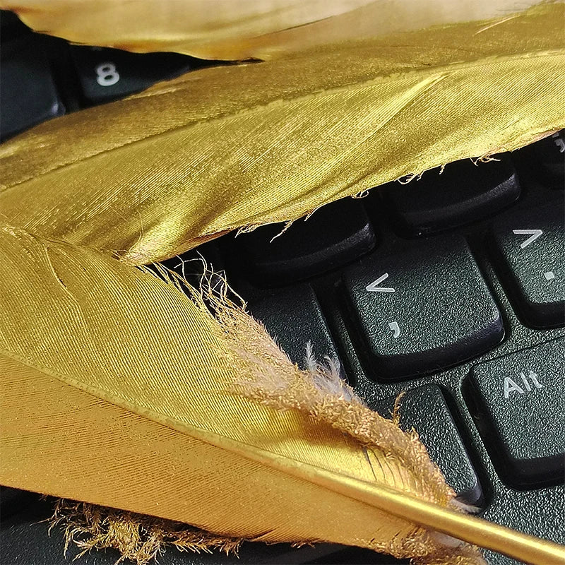 48pcs Goose Gold Feathers For Crafts Bulk Long Hats Vases Pictures House Salon Wedding Bus 14-20cm Carnival Plumas Easter Flower