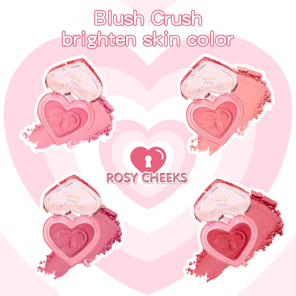 4 color Monochrome blush Matte Natural Cheek Color Brightening Face Waterproof Facial Contouring Makeup Blush Powder Soft Makeup