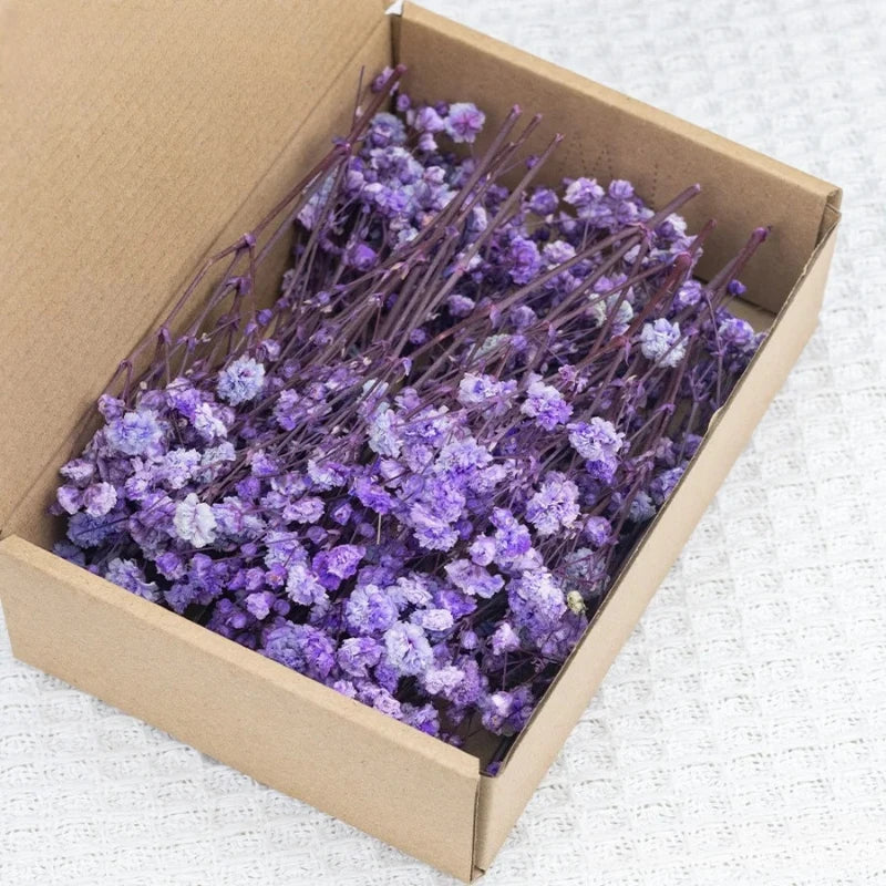 50pcs Dried Flowers Breathing Bouquet Starry Sky Aromatherapy Decoration Party Decoration Vase D Small Packaging Decoration Gift