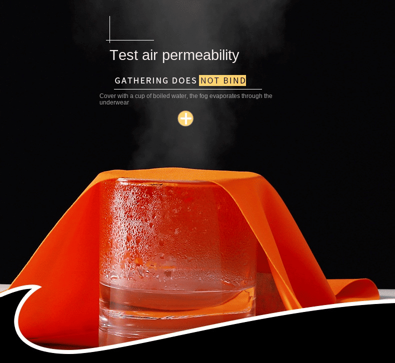 Baldur 5-Pack Women's Seamless Ice Silk Quick-Dry Panties - Comfy, Invisible Briefs