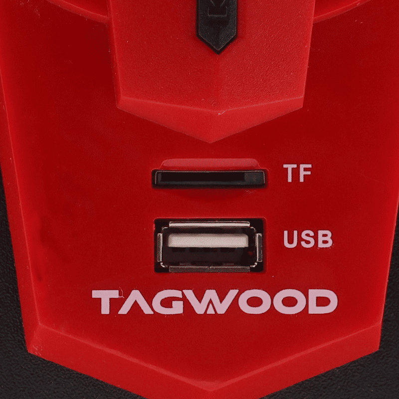 TAGWOOD LS-421D 5800W 2.1CH Bluetooth Woofer Speaker Home Audio System