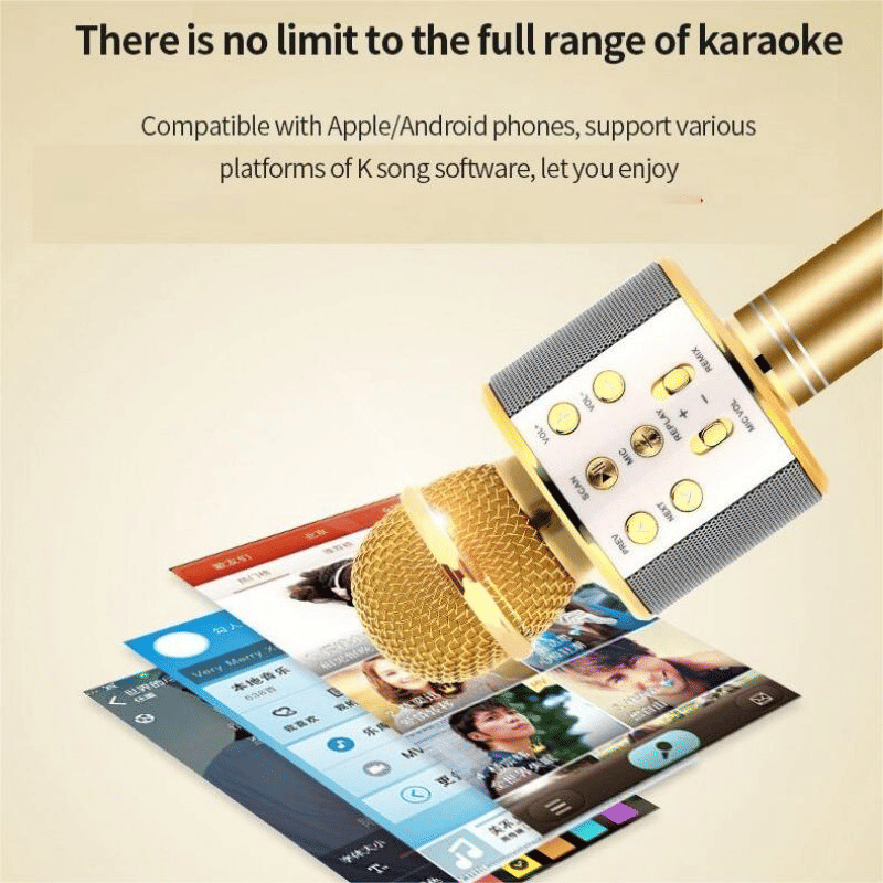 Portable Wireless Bluetooth Karaoke Microphone Speaker for Kids & Family Fun