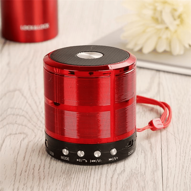 Portable Metallic Mini Bluetooth Speaker, Wireless Hands-Free, USB, FM Radio
