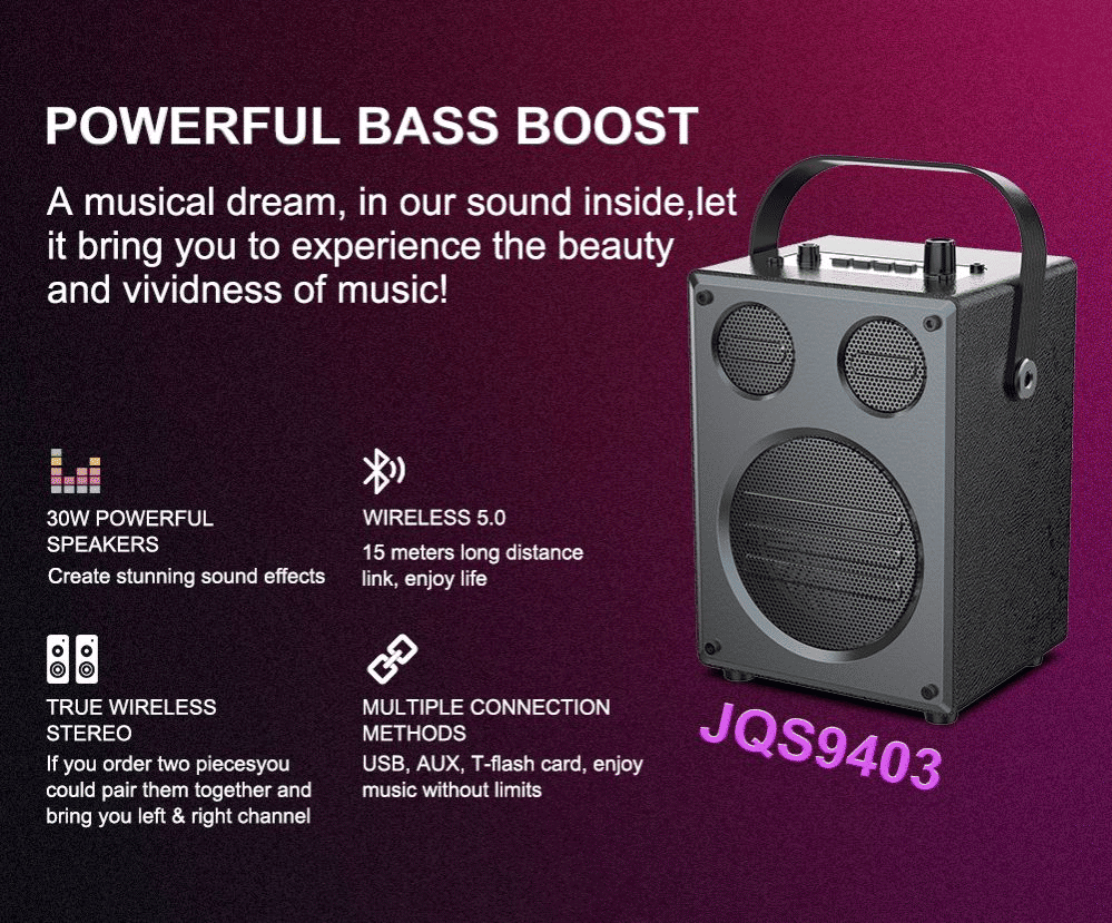 30W Portable Bluetooth Speaker with Wireless Mic, Deep Bass, TWS Stereo, Karaoke